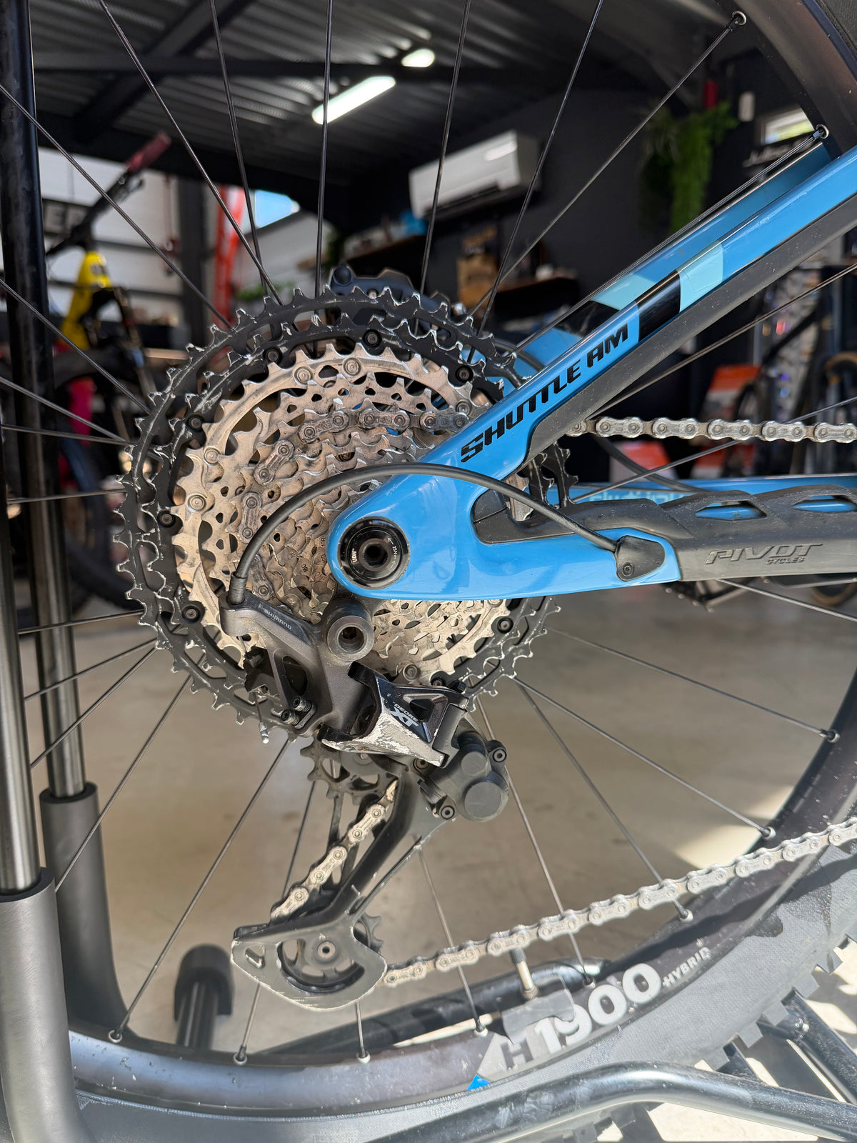 Pivot Shuttle AM