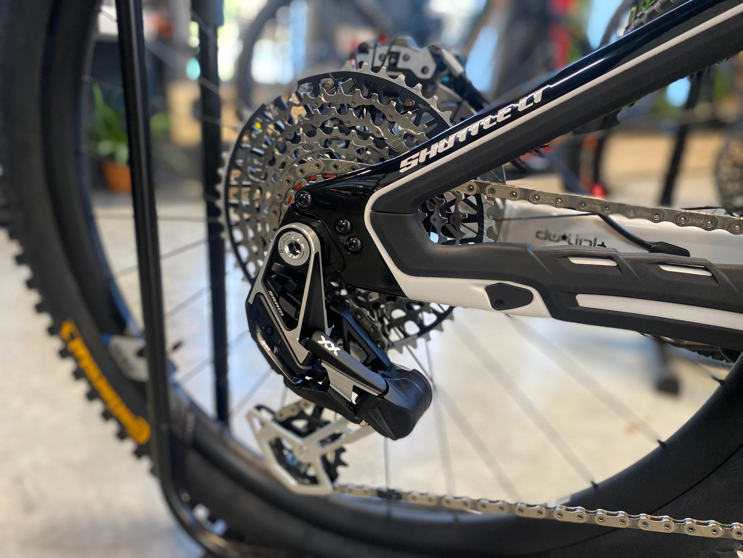 Pivot Shuttle LT Team XX - 2026